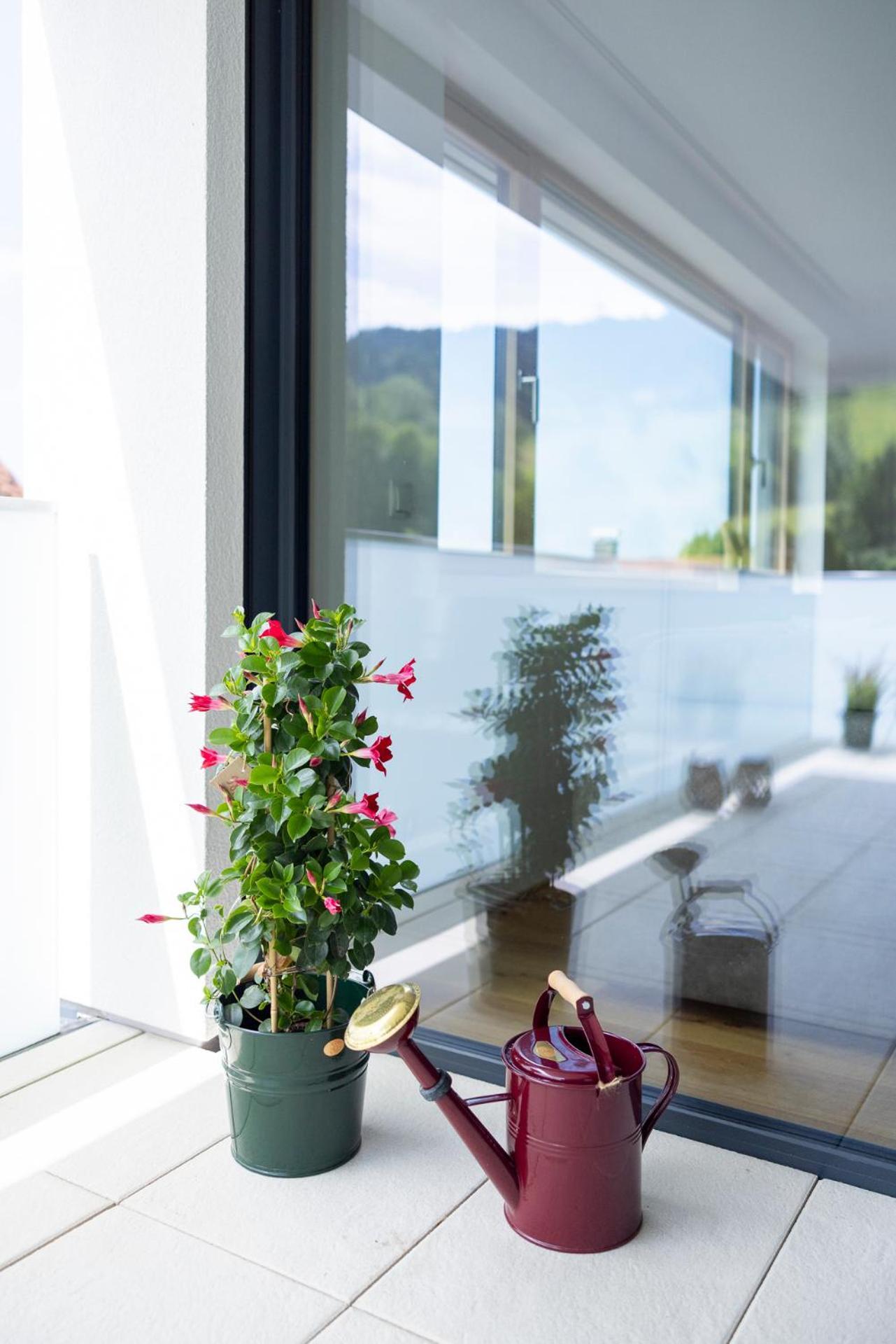 Bodensee Bergblick Suite Лохау Екстер'єр фото